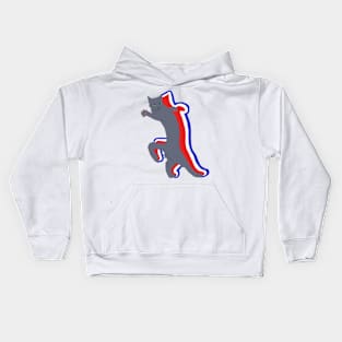 American Grey Meme Cat Kids Hoodie